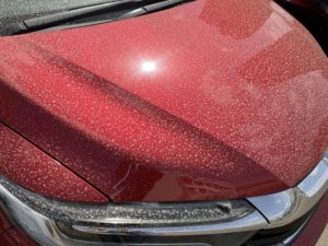 なぜ花粉と黄砂は「ただの埃」ではないのか?愛車を傷めない洗車術』|新潟柏崎市最大級の軽未使用車専門店「フォーラムムラタ」